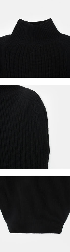 [🍂F/W] Wool Turtleneck Knitted Vest