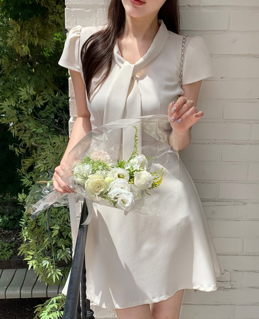 [🌷S/S] Sonyel V-neck Dress (兩種長度選擇）